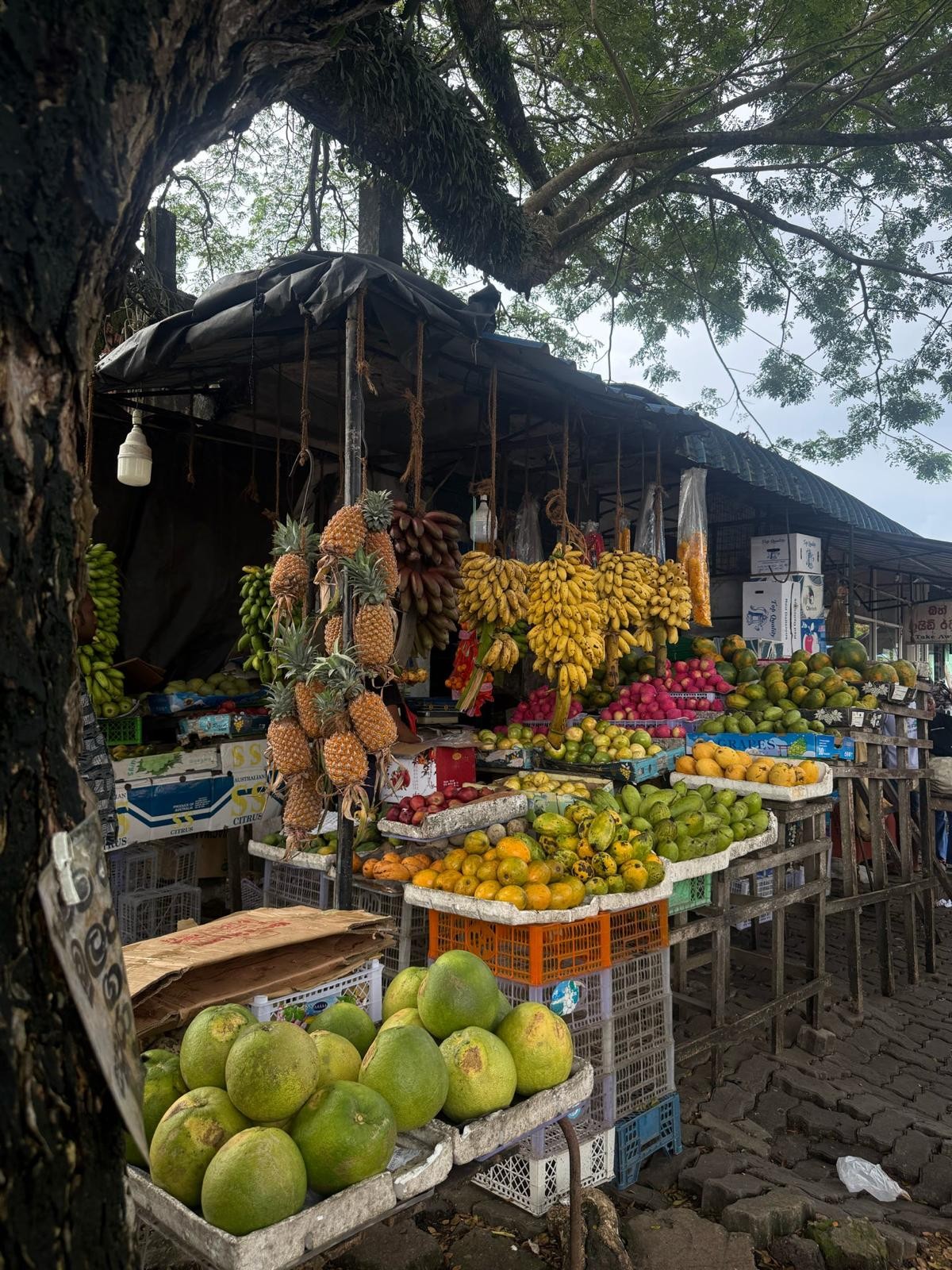 Bali market